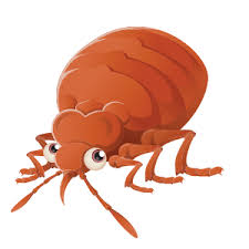 Chandler bed bug exterminator and treatment, best pest control company, exterminator all biting insects. Tucson Bed Bug Treatment Tucson Bed Bug Exterminator
