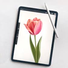 Zeichnen Und Malen Auf Dem Ipad Deschdanja Ch