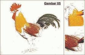 Cara mewarnai dengan crayon untuk pemula. Cara Mewarnai Gambar Dengan Crayon Untuk Pemula Seni Budayaku