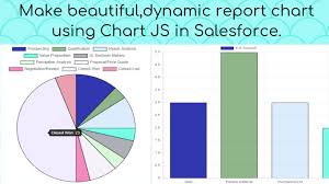 make beautiful dynamic report chart using chart js in