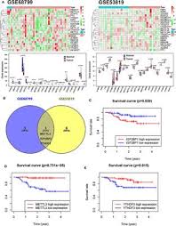 Standard) and (he dei>i((o«liun uf material (e.g. Frontiers Gene Signatures And Prognostic Values Of M6a Genes In Nasopharyngeal Carcinoma Oncology