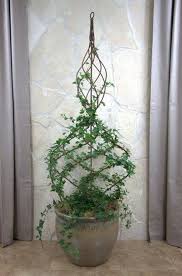 60 Marvelous Indoor Vines And Climbing Plants Decorations Hoommy Com Indoor Vines Plants Plant Decor