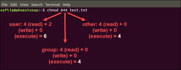 Linux File Permissions Tutorial: How to View and Change Permission