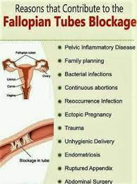 I got pregnant with blocked fallopian tubes. Blocked Fallopian Tubes Greenworld Women S Health Care Facebook