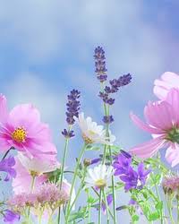 Nancy Rosetta Siagkris Obituary (2024)