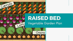In a raised bed garden, you don't have to bend over to weed or reach the plants. Raised Bed Vegetable Garden Plan Modern Frontierswoman