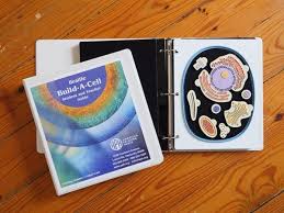 4d science animal cell model provides a unique way for learning the essential components to these building blocks of life. Build A Cell American Printing House