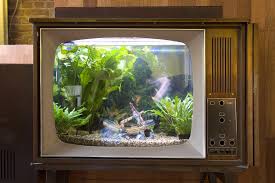 27 видео 13 843 просмотра обновлен 22 янв. 10 Desain Akuarium Unik Untuk Kamu Pecinta Ikan Hias Anti Monoton Rumah123 Com