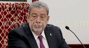 Parliament approves law allowing public servants to contest elections