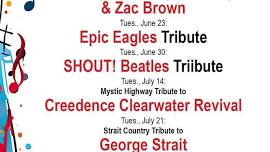 Mystic Highway Tribute to Creedence Clearwater Revival