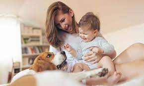Do Dogs Get Jealous Of Babies Plus Jealousy Signs How To Deal With Them Healthy Homemade Dog Treats