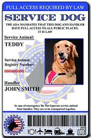 Avoid Awkward Security Questions With A Holographic Service Dog Id Card Autism Service Dogs Support Dog Dog Id