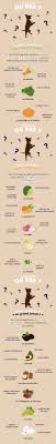 Fruit Et Legume Preparer Repas Maison Pour Son Chien Repas Maison Fruits Et Legumes Fruit