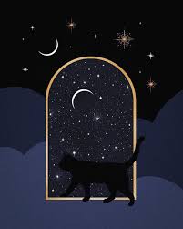 Ameya On Instagram Cat Cards My Latest Project The New Deck Of Cards Currently In The Works As You May Know I Absolut In 2020 Cat Cards Deck Of Cards Art