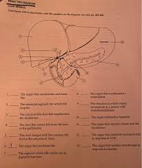It is characterized by the prevalence of steatosis, which results in excessive accumulation of triglyceride in the liver tissue. Read The Diagram Liver Biliary Directions Fill In Chegg Com