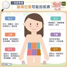 肚子痛可能不是腸胃問題 腹痛6種位置疾病一圖就懂 健康知識 新聞 元氣網 health info health health tips