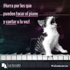 Tocar El Piano Y Cantar A La Vez Formacion Musical Piano Frases De Musica