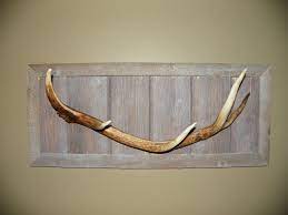 Check spelling or type a new query. Pin By Emma Olson On Antler And Wood Creations Antler Coat Rack Elk Antlers Antlers