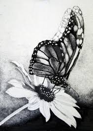 Black And White With One Color Drawing Butterfly Stipple In Ink Stippling Art Ink Illustrations Pointillism