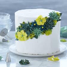 How To Pipe Simple Icing Flowers Cake Decorating Kit 68 Piece Wilton