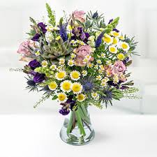 We did not find results for: Anniversary Flowers Bargain Blooms