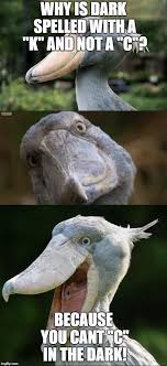 Bad Joke Bird 3 Why Is Dark Spelled With A K And Not A C Because You Cant C In The Dark Image Tagged In Bad Joke Bird 3