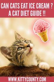 Can Cats Eat Ice Cream Cat Health Guide Kitty County Cat Health Cats Cat Facts Funny