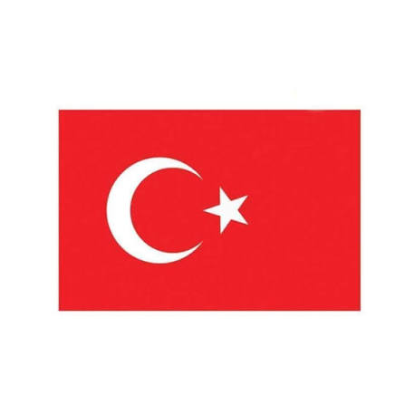 20x30 Cm Türk Bayrağı (Kampanyalı Fiyat) - Bayraksan Tekstil