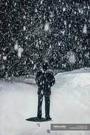 Snow are falling of the trees in the forest. Snow Falling Over Man Cold Standing Stock Photo 250574138