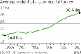 A fresh turkey usually costs more but doesn't need thawing. Talking Turkey Why Your Thanksgiving Dinner Weighs More Wsj