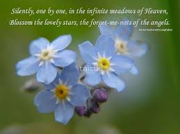 Check spelling or type a new query. Image Result For Forget Me Not Quotes Forget Me Not Forget Me Not Blue Greeting Cards Quotes