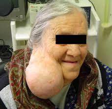 Internet Scientific Publications