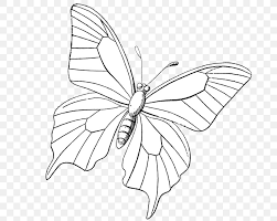 We did not find results for: Monarch Butterfly Mandala Drawing Line Art Png 700x654px Monarch Butterfly Area Art Artwork Black And White