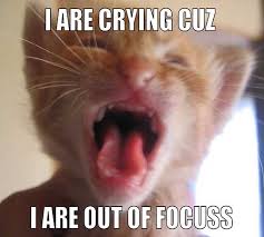 Maybe you would like to learn more about one of these? Best And Funniest Memes List Of Top Ten