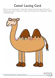 Feeding and watering of camels alpacas and llamas. Camel Lacing Card