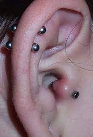 Pin By Vicki Hansell On Earrings Necklaces In 2021 Ear Piercings Tragus Tragus Piercings New Ear Piercing