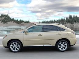 Image result for Golden Almond 2010 RX