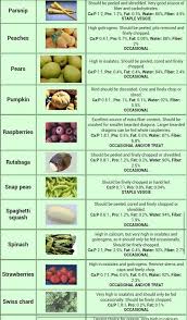 List Of Foods You Can Feed Bearded Dragons Bearded Dragon Diet Bearded Dragon Food Baby Bearded Dragon
