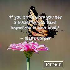 100 Butterfly Quotes Quotes About Butterflies