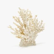 Zara onlinestore heute bestellen, versandkostenfrei. Image Of The Product White Coral Decorative Figure Zara Home Decorative Accessories White Coral