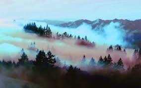 Pin By Sam On All In One Landscape Wallpaper Wallpaper Pc Aesthetic Wallpapers