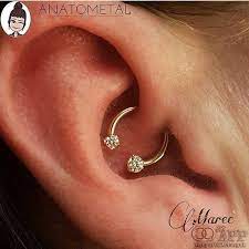 This Daith Was Well On The Way To Being Fully Healed And Maree S Or Piercingsbymaree Client Came Back And Daith Piercing Jewelry Daith Earrings Daith Jewelry