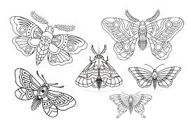 Traditional Moth And Butterfly Tattoo Flash Sketch Design Unique Butterfly Tattoos Moth Tattoo Design Black Butterfly Tattoo