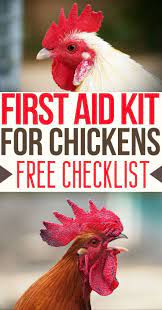 Diy First Aid Kit For Backyard Chickens Chickens Backyard Chicken Health Chicken Illness