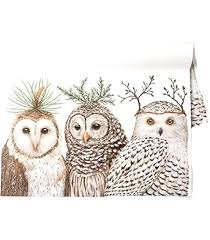 Amazon.com: Baby Owls Paper Placemat 24 Sheets Vicki Sawyer American Made:  Home & Kitchen