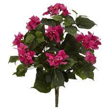 Patio, garden, lighting, fans, electrical, plumbing, paint, flooring, decor, and more! Bougainvillea The Home Depot