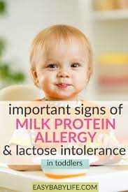 Signs Of Toddler Milk Protein Allergy Or Lactose Intolerance Milk Allergy Toddler Lactose Intolerant Toddler Allergies