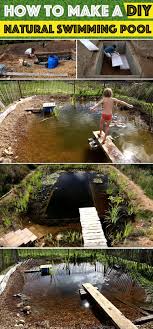 Introduce Unbeatable Charm To Your Backyard With This All Natural Swimming Pond Natural Swimming Ponds Swimming Pond Diy Swimming Pool