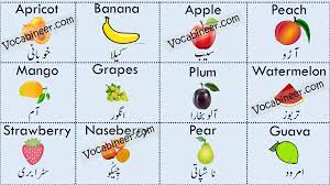 Learn Fruits Name In Urdu And Hindi In English Translation With Their Pictures Learn English Words English Translation Islamic Knowledge In Urdu