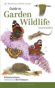 The life cycle of the wild pheasant can be broken into four stages, which correlate to the seasons. Guide To Garden Wildlife 2nd Edition Bloomsbury Wildlife Guides Lewington Richard Amazon De Bucher
